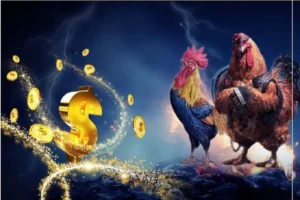 Chinh Phục Đá Gà WS168 EE88 Với Thưởng Lớn Hôm Nay 1 Chinh Phục Đá Gà WS168 EE88 Với Thưởng Lớn Hôm Nay