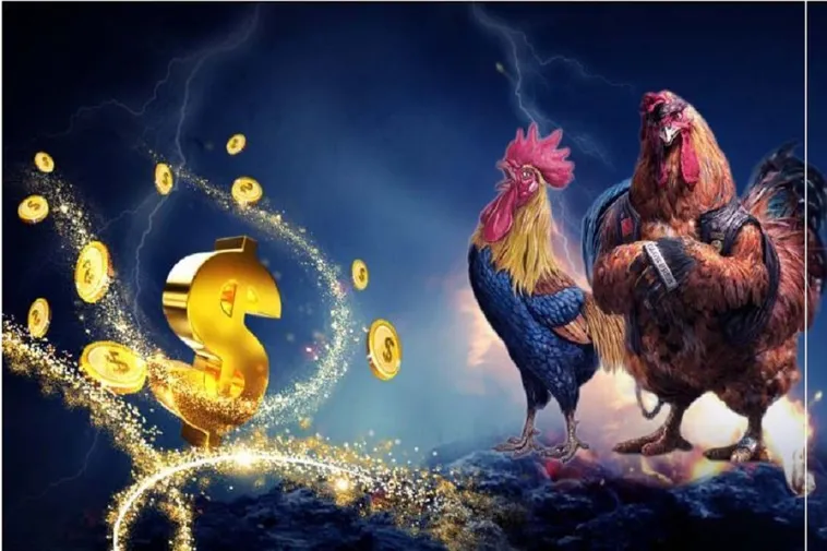 Chinh Phục Đá Gà WS168 EE88 Với Thưởng Lớn Hôm Nay